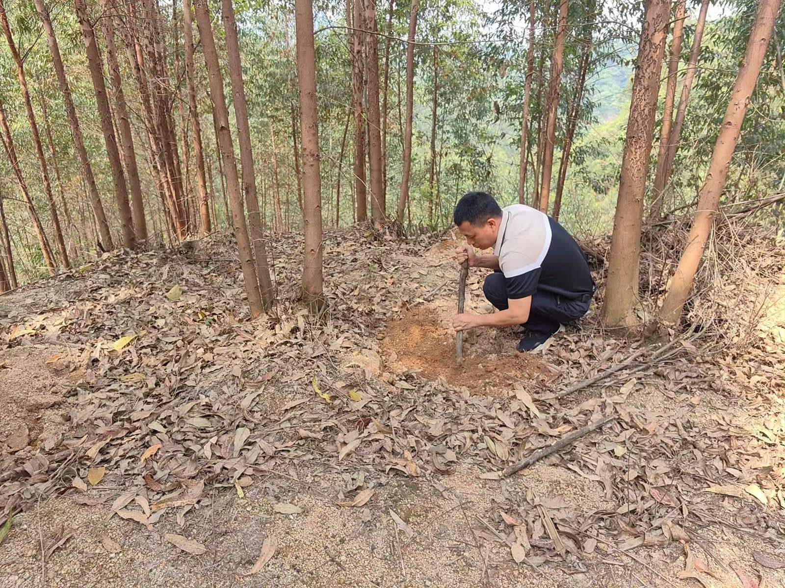 luck18xinli(中国区)-官方网站