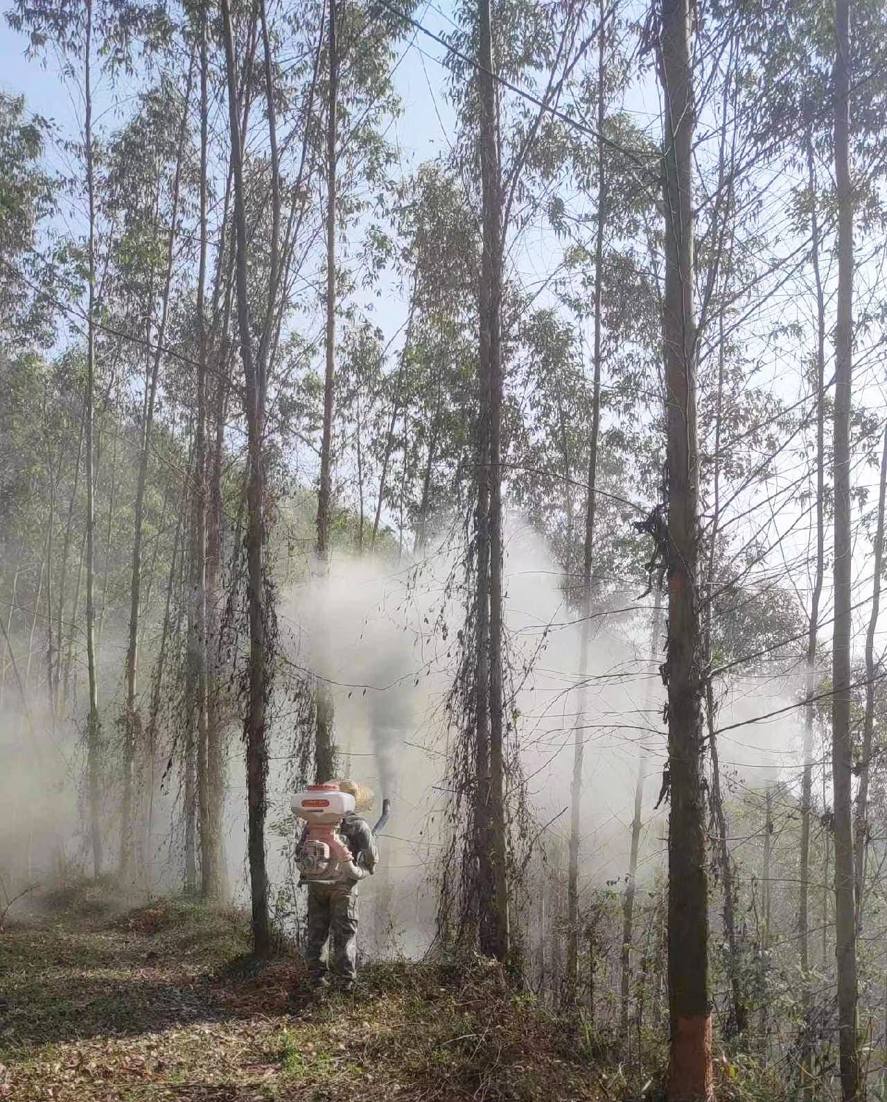 luck18xinli(中国区)-官方网站