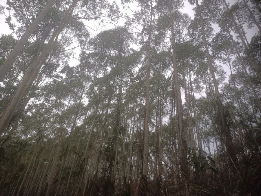 luck18xinli(中国区)-官方网站