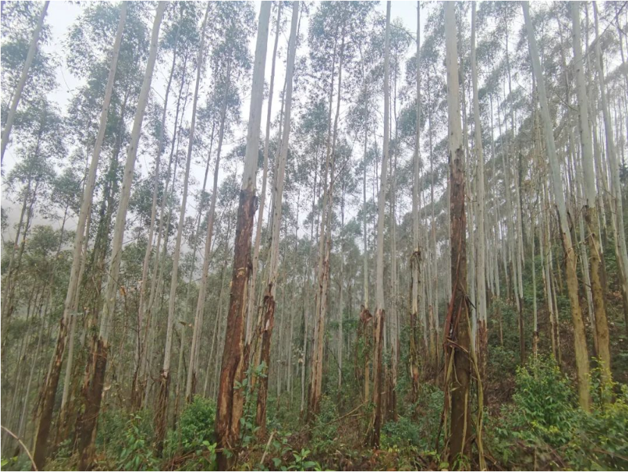 luck18xinli(中国区)-官方网站