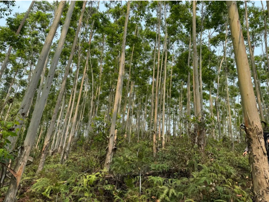 luck18xinli(中国区)-官方网站