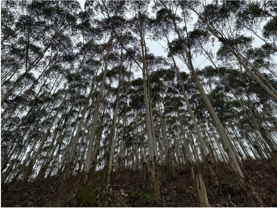 luck18xinli(中国区)-官方网站