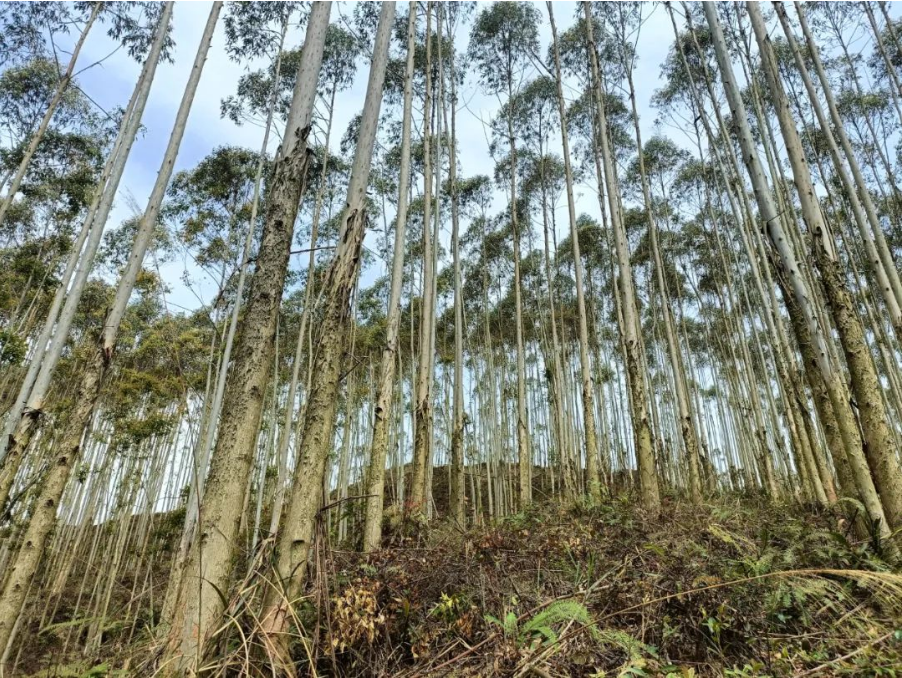 luck18xinli(中国区)-官方网站