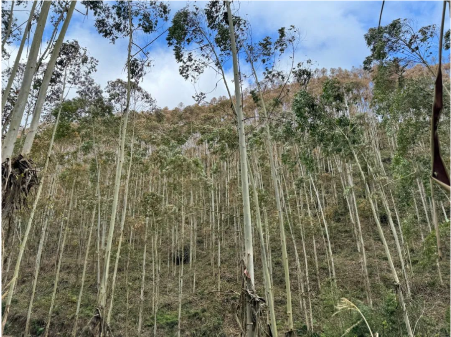 luck18xinli(中国区)-官方网站