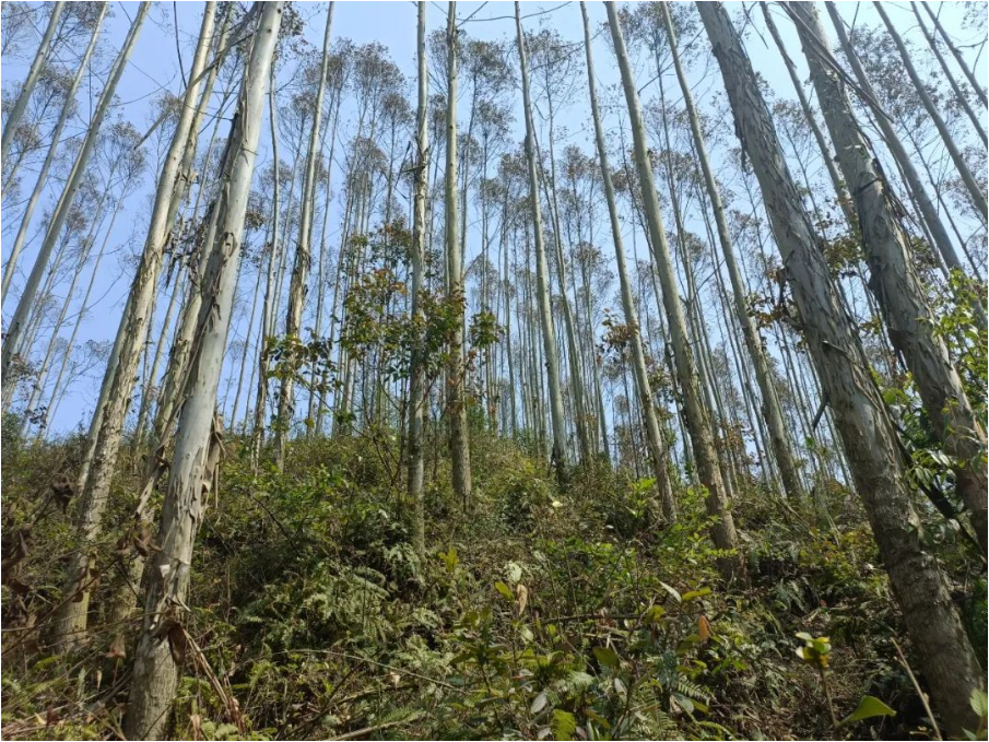 luck18xinli(中国区)-官方网站