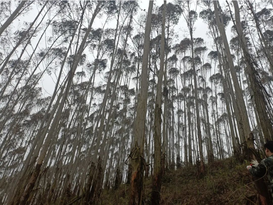 luck18xinli(中国区)-官方网站