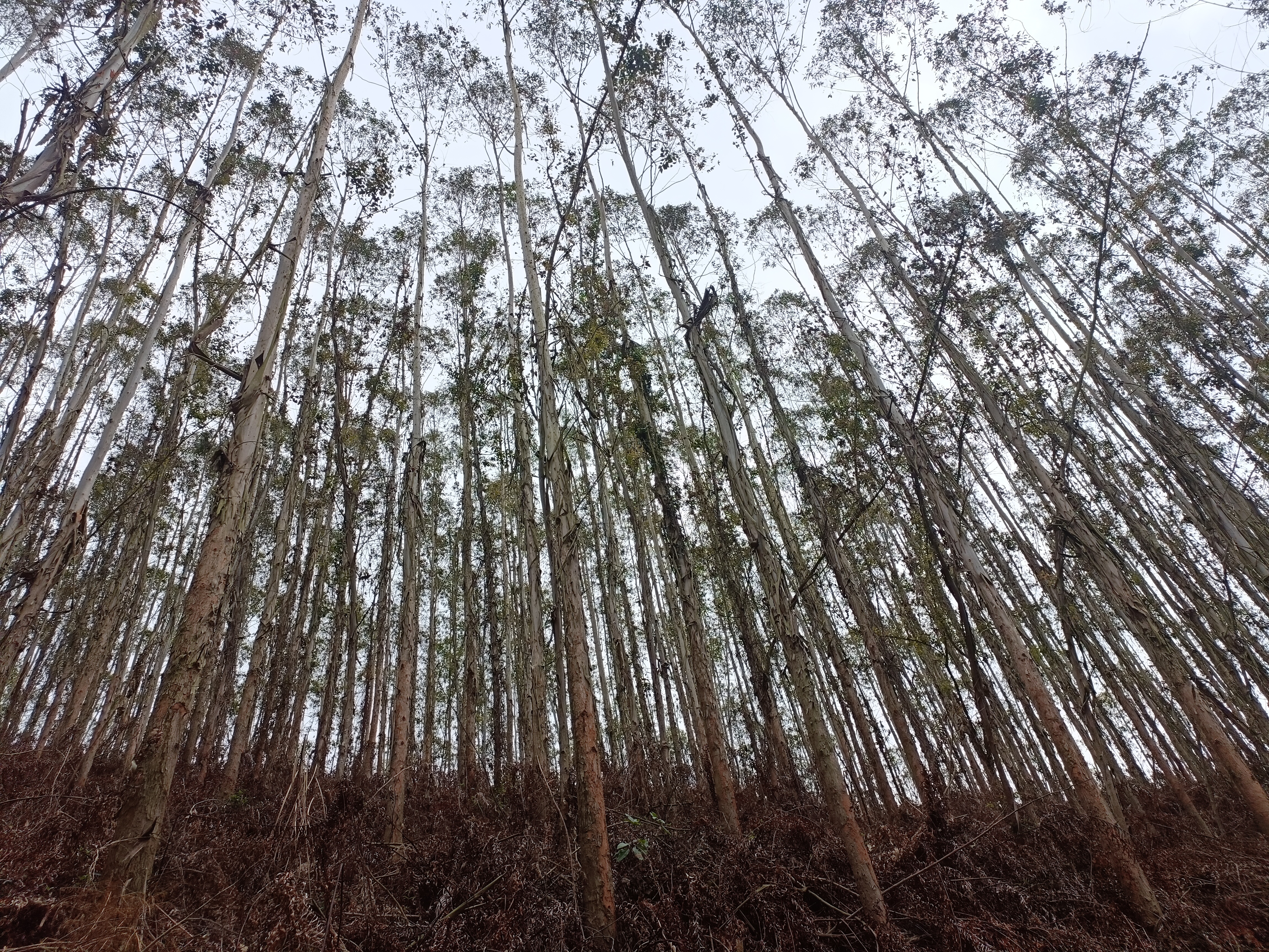 luck18xinli(中国区)-官方网站