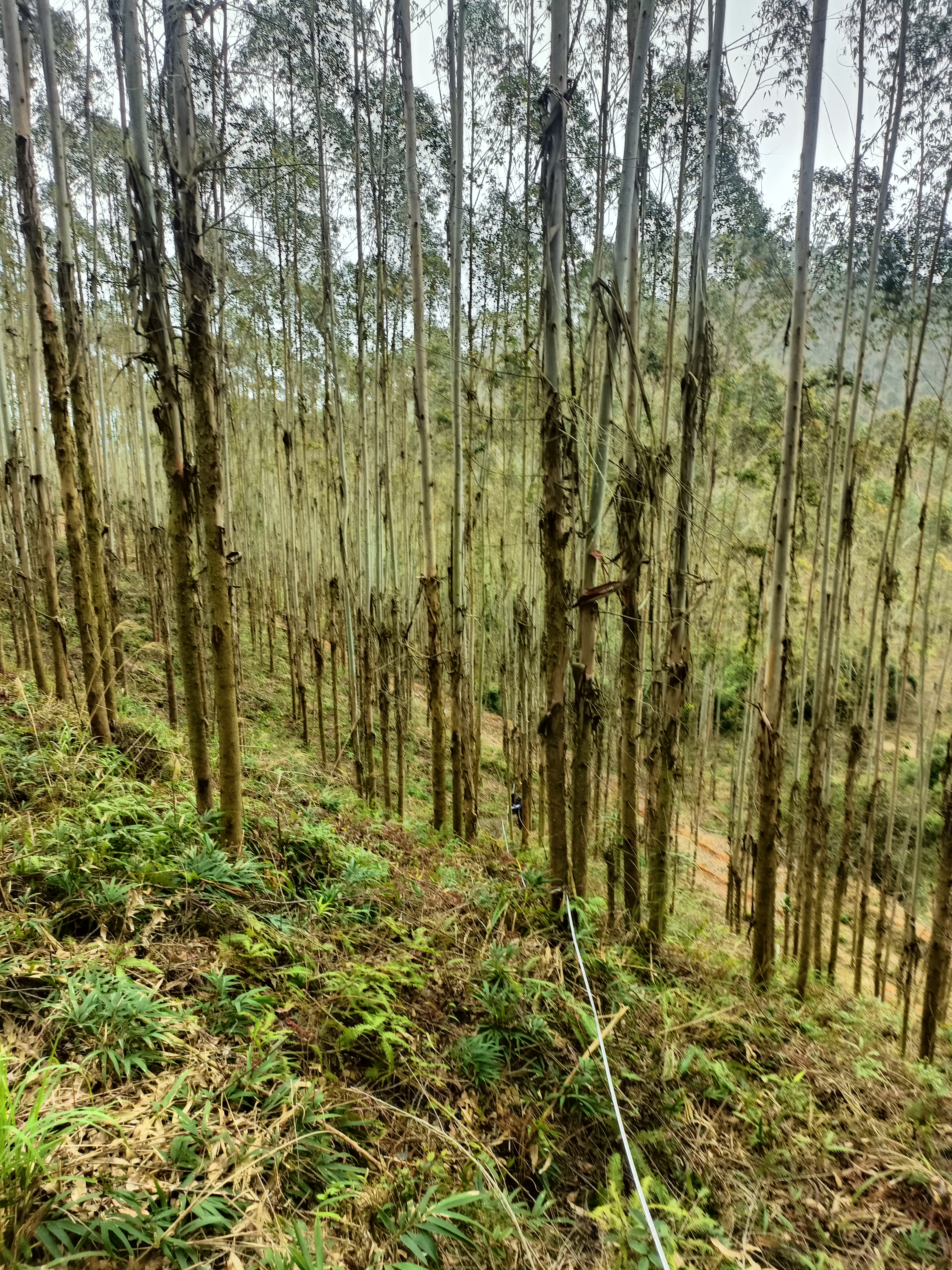 luck18xinli(中国区)-官方网站