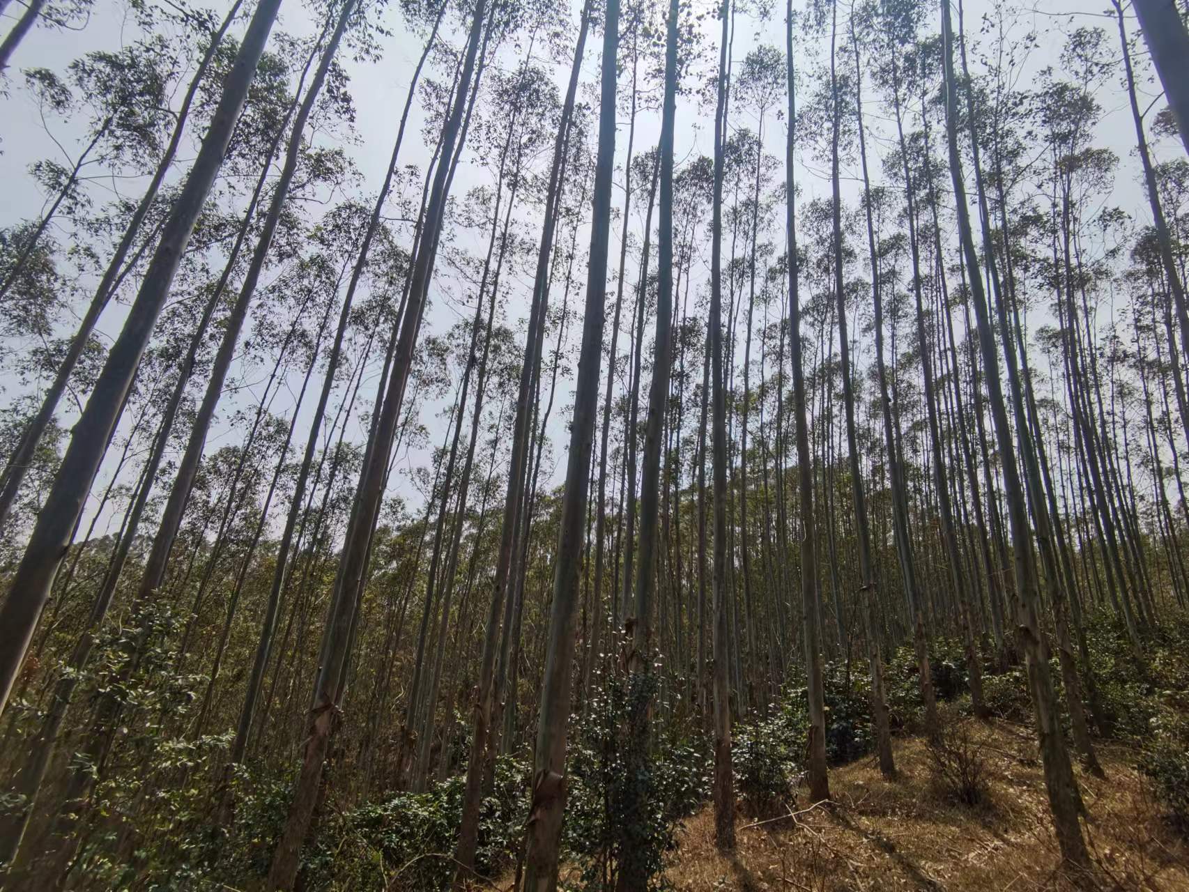 luck18xinli(中国区)-官方网站