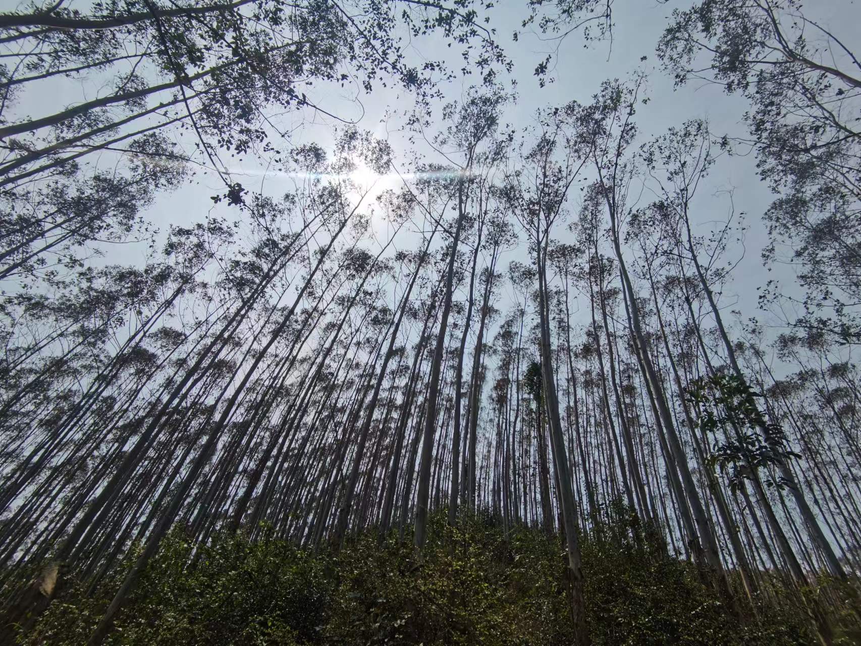 luck18xinli(中国区)-官方网站