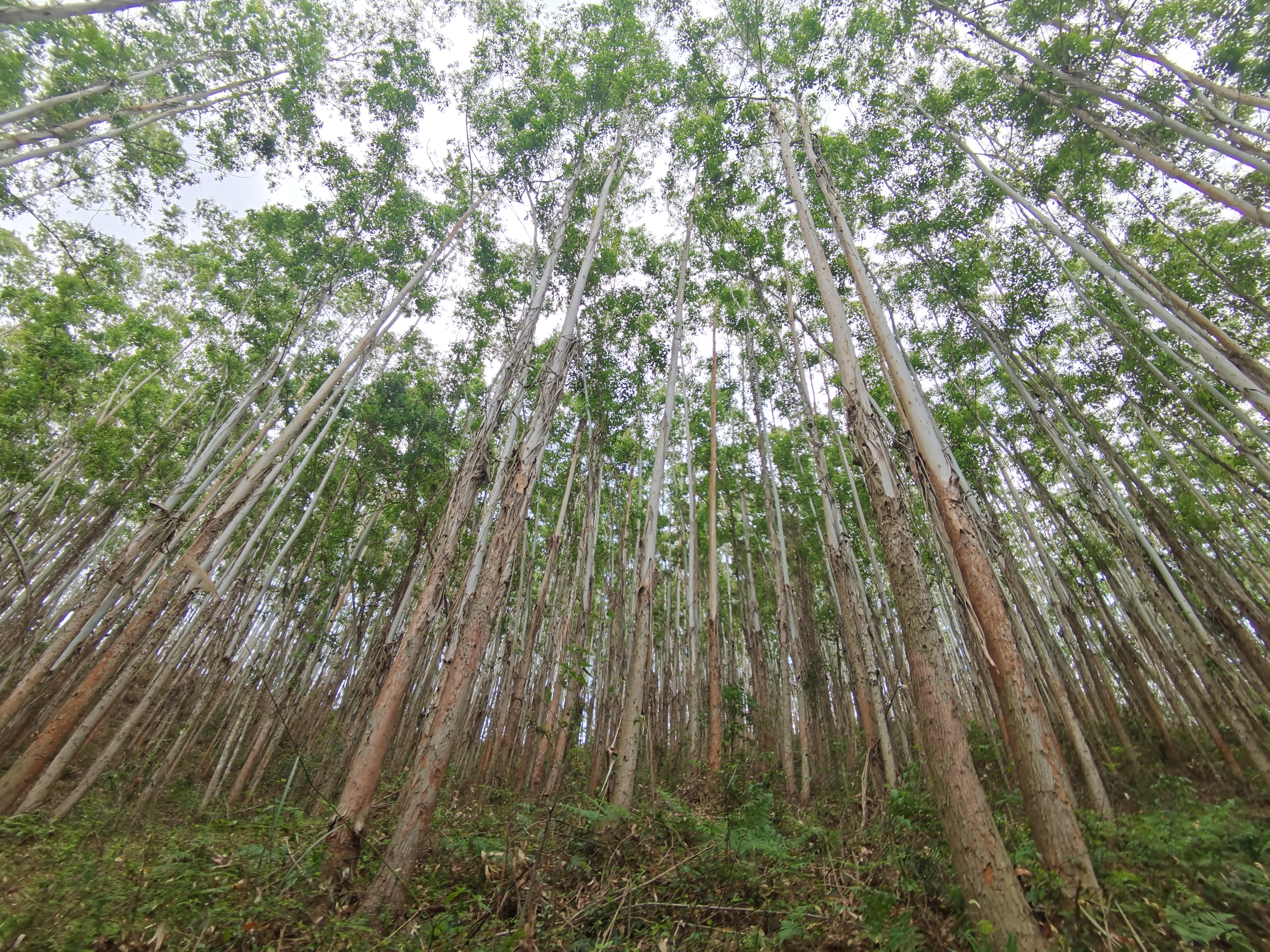 luck18xinli(中国区)-官方网站