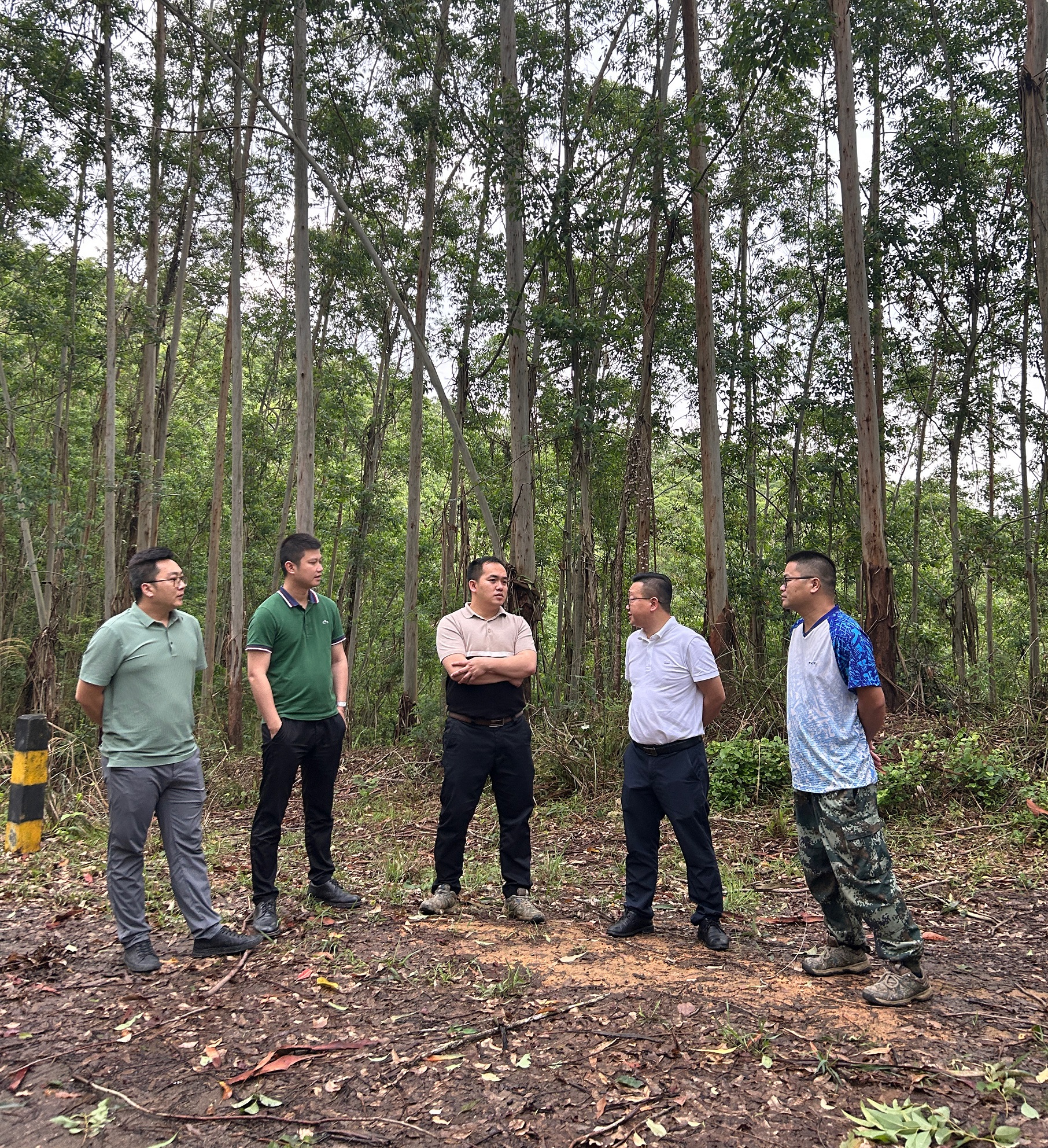 集团辅导到广东部门公司查抄领导工作