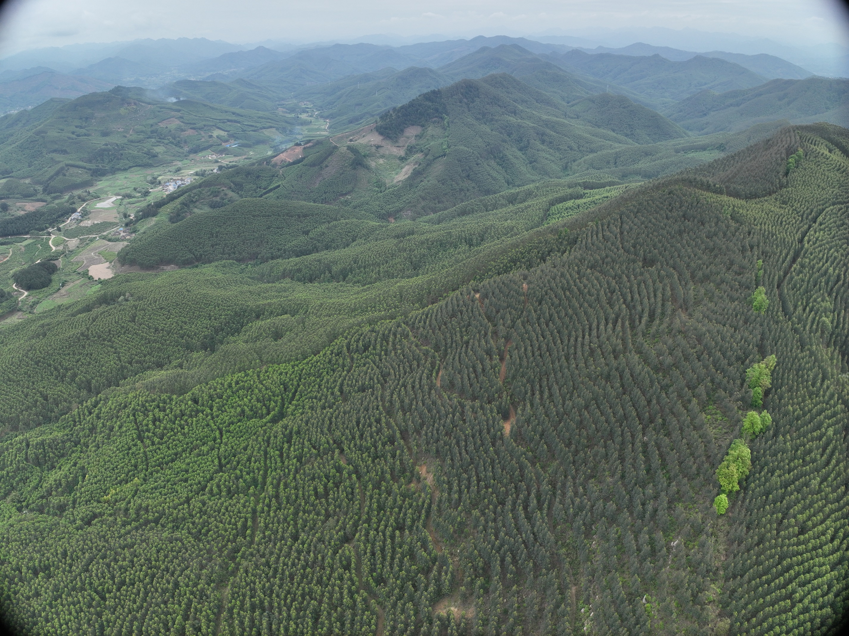 五一劳动节，，，，，，，，为这群人点赞！
