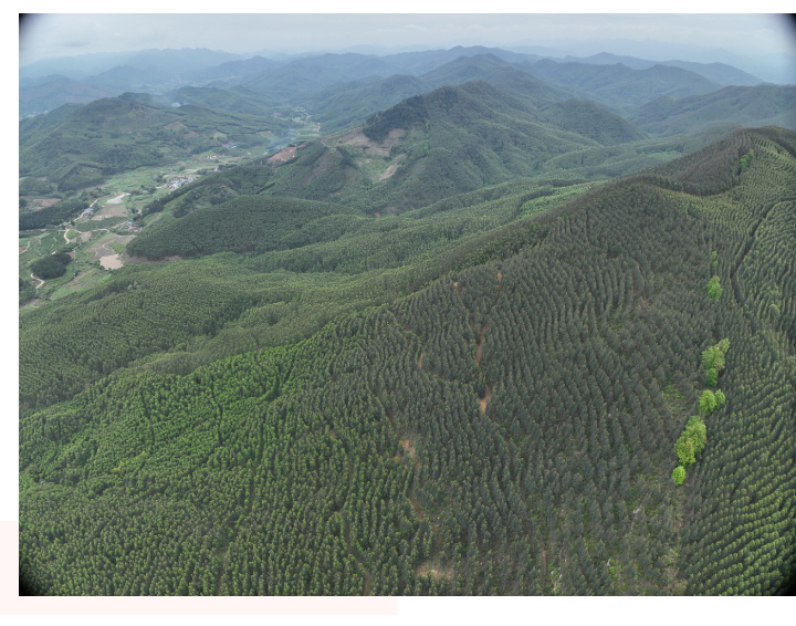 luck18xinli(中国区)-官方网站