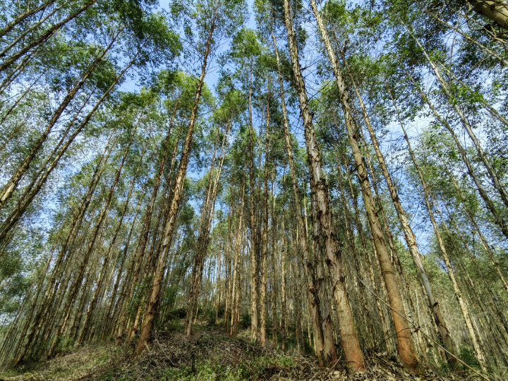 luck18xinli(中国区)-官方网站