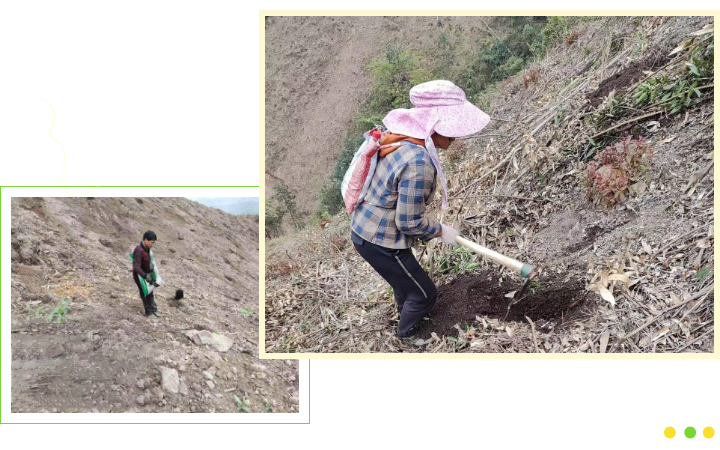 luck18xinli(中国区)-官方网站