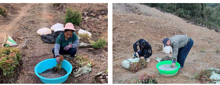 luck18xinli(中国区)-官方网站