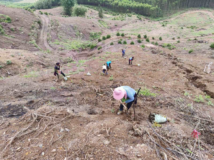 luck18xinli(中国区)-官方网站