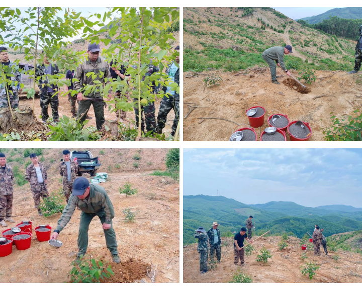 luck18xinli(中国区)-官方网站