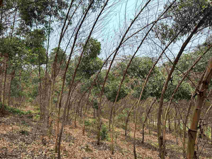 luck18xinli(中国区)-官方网站