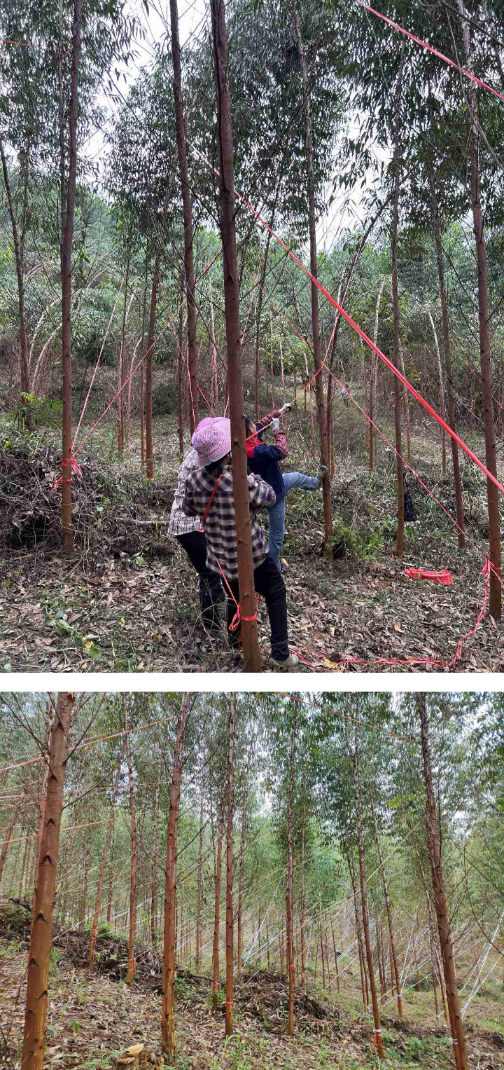 luck18xinli(中国区)-官方网站