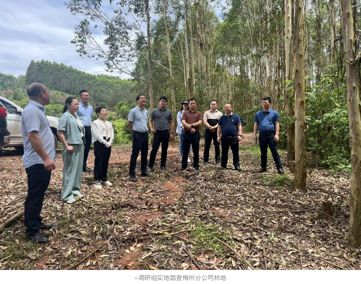 luck18xinli(中国区)-官方网站