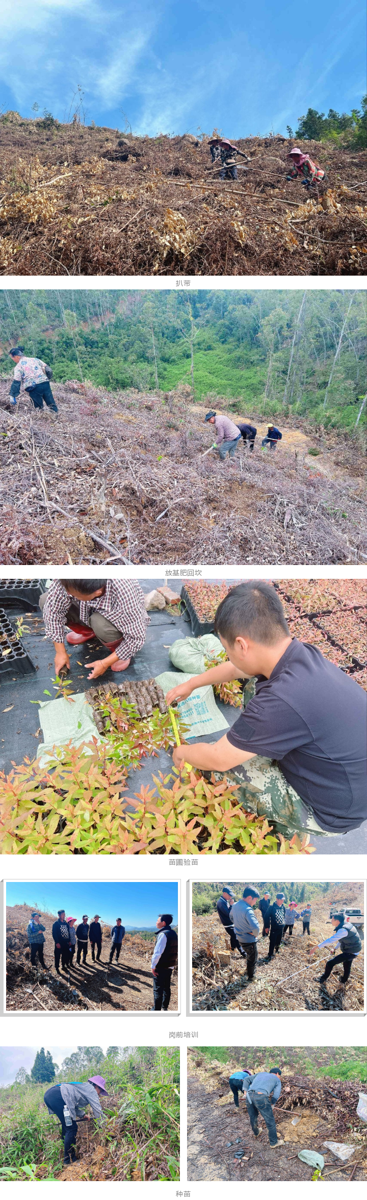 luck18xinli(中国区)-官方网站