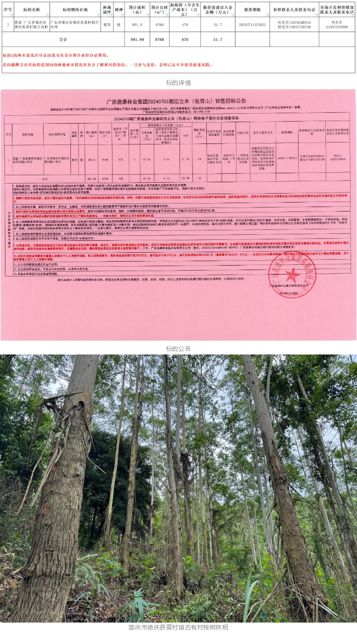 luck18xinli(中国区)-官方网站