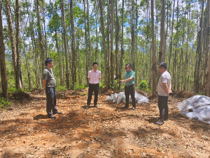 luck18xinli(中国区)-官方网站