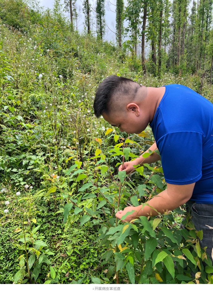 luck18xinli(中国区)-官方网站