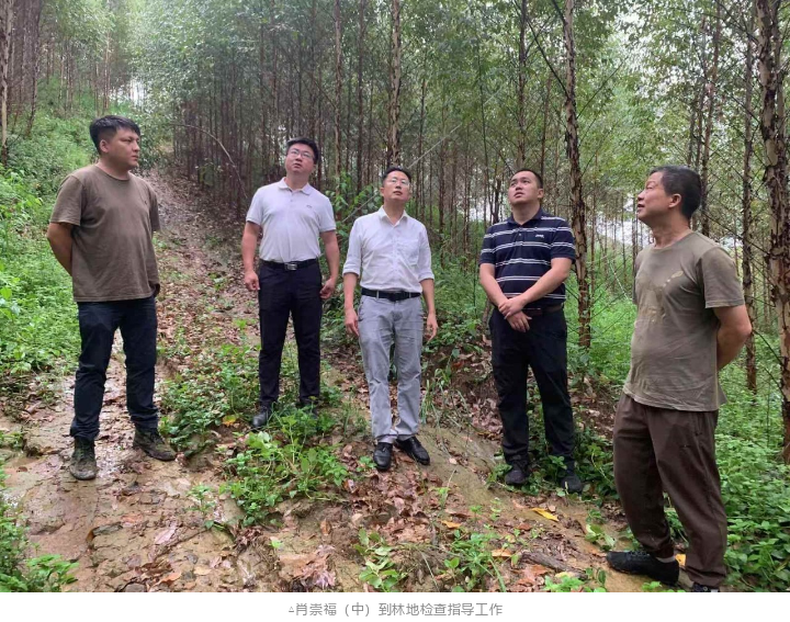 luck18xinli(中国区)-官方网站