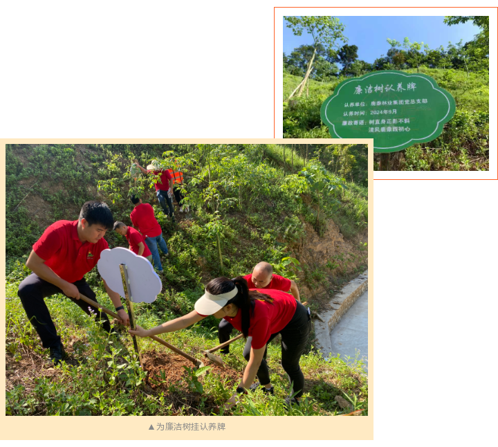 luck18xinli(中国区)-官方网站