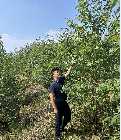 廖长琨到鹿寨县那陆岭林地查抄领导工作