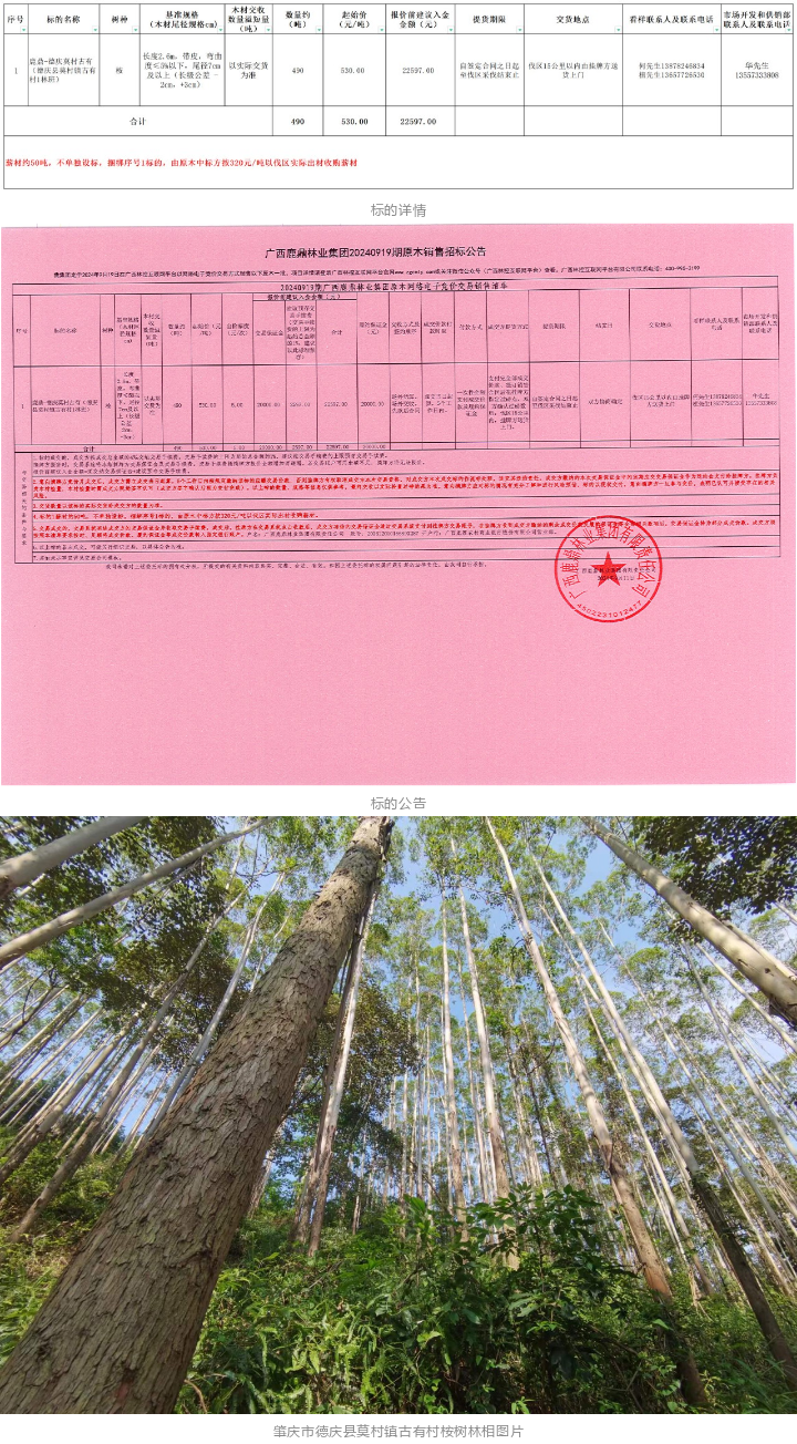 luck18xinli(中国区)-官方网站