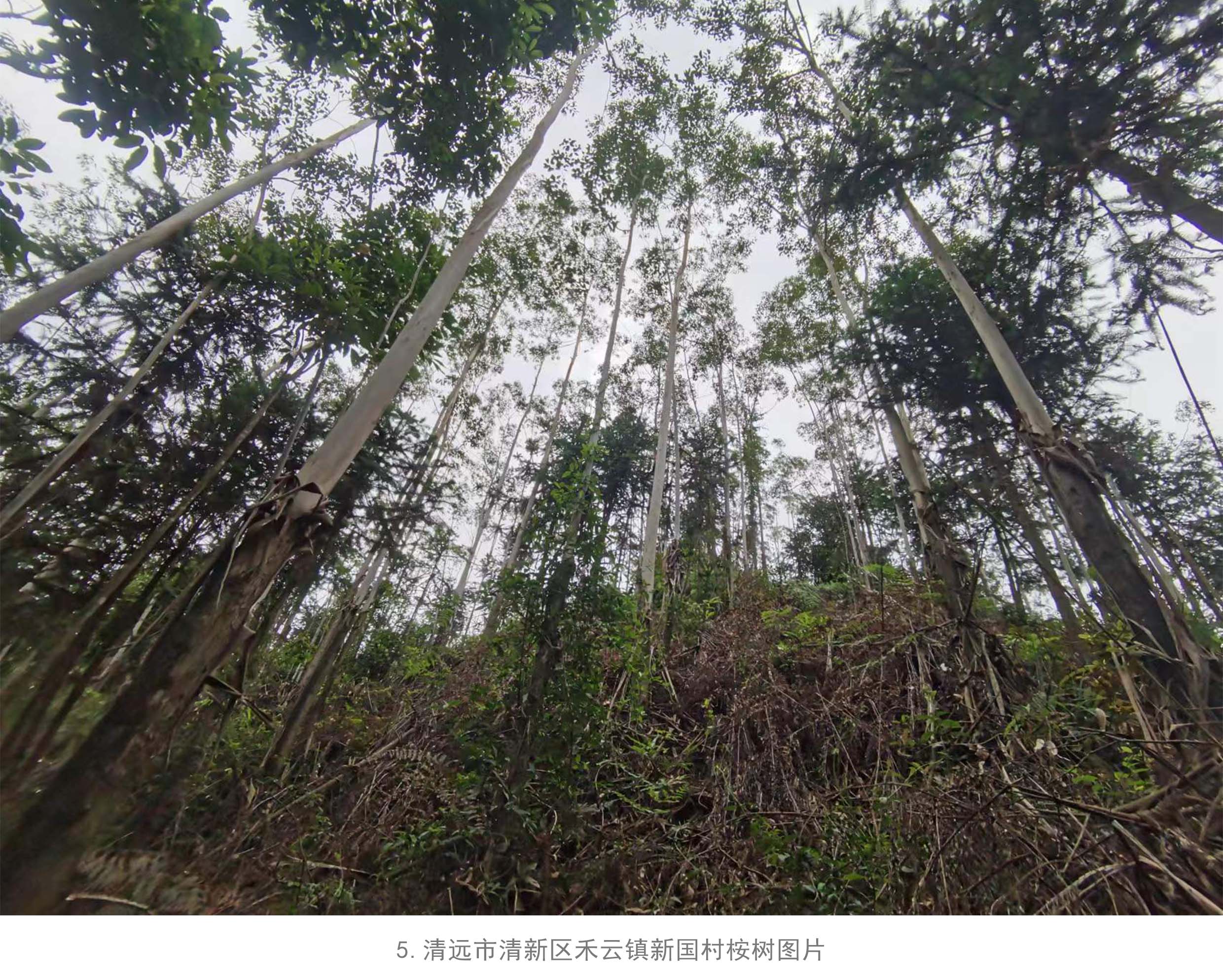 luck18xinli(中国区)-官方网站