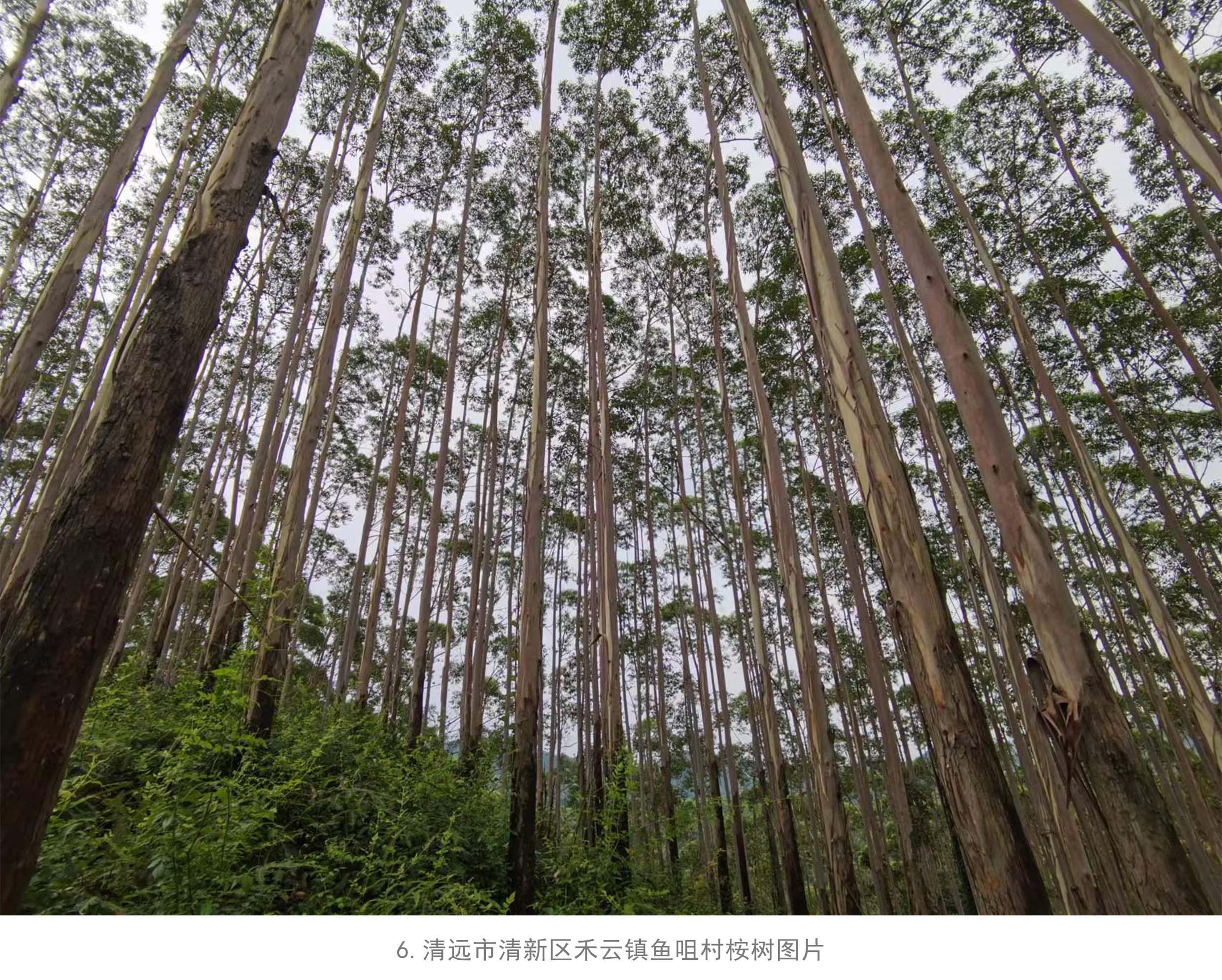 luck18xinli(中国区)-官方网站