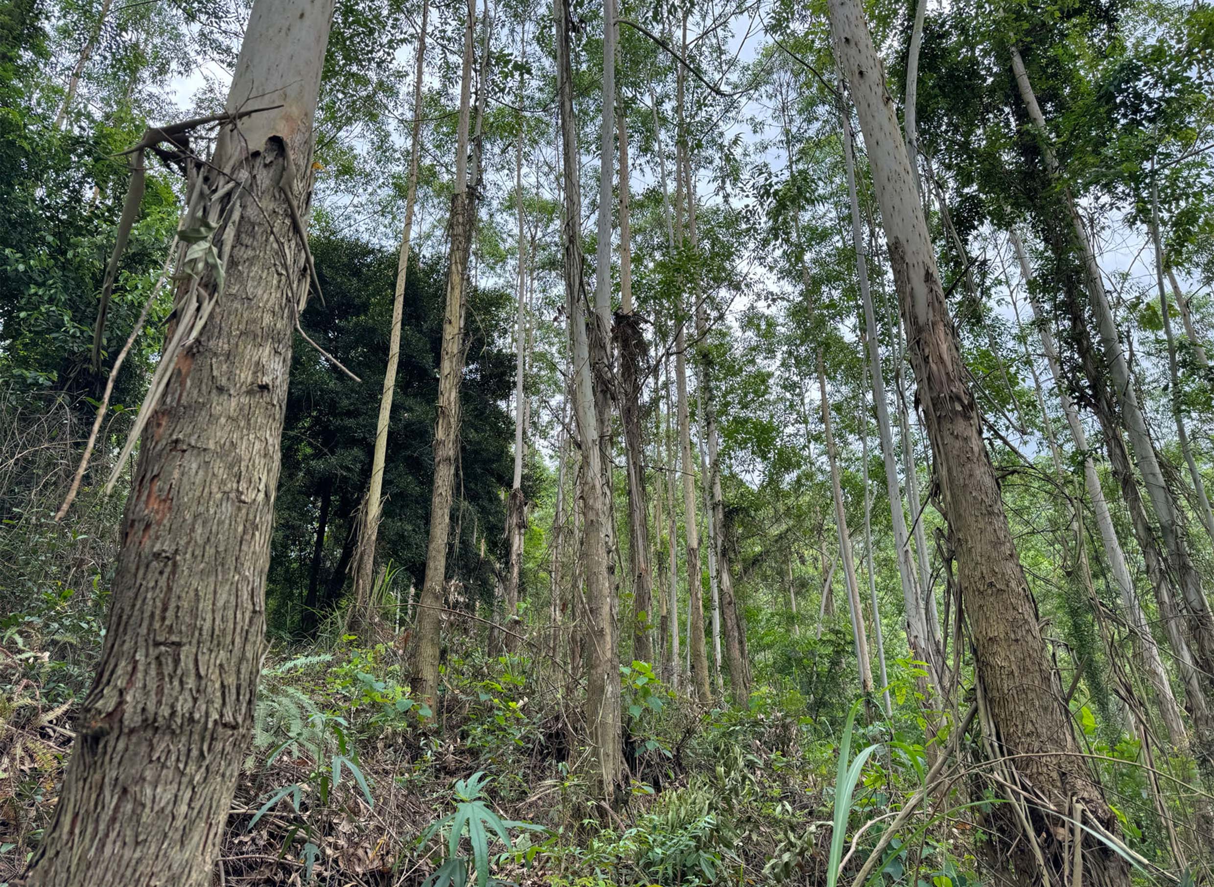 luck18xinli(中国区)-官方网站