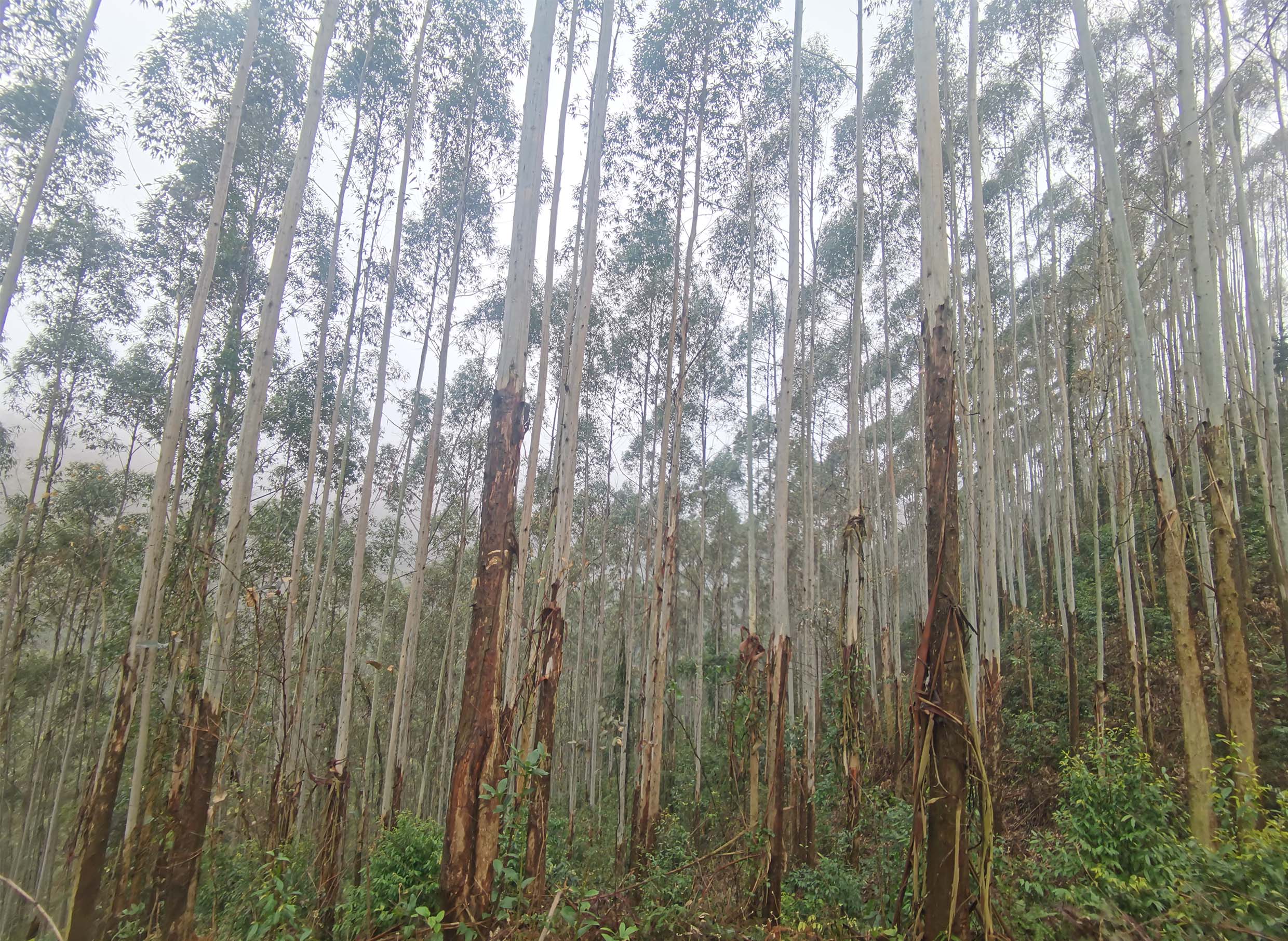 luck18xinli(中国区)-官方网站