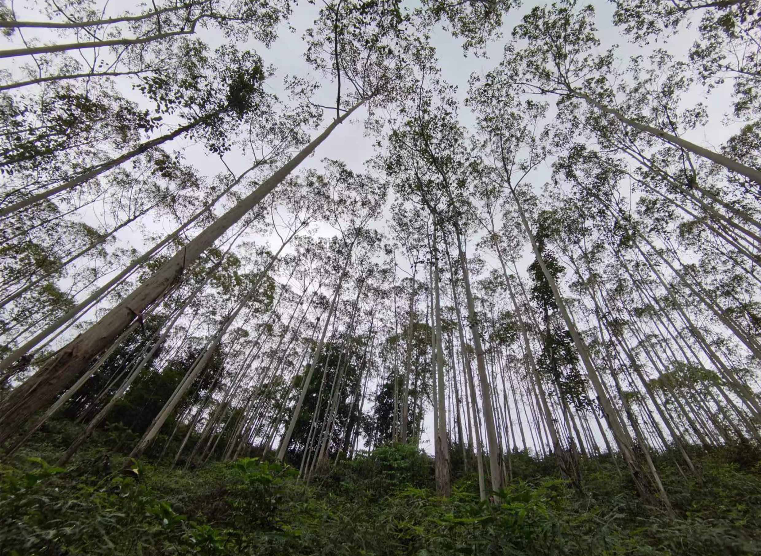 luck18xinli(中国区)-官方网站