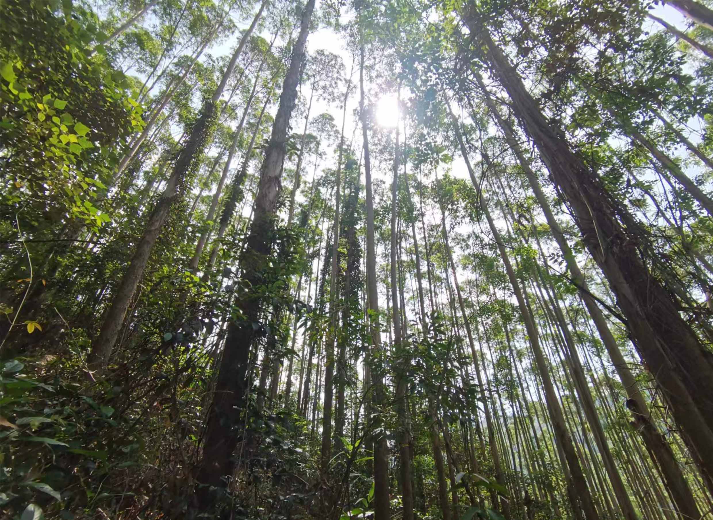 luck18xinli(中国区)-官方网站