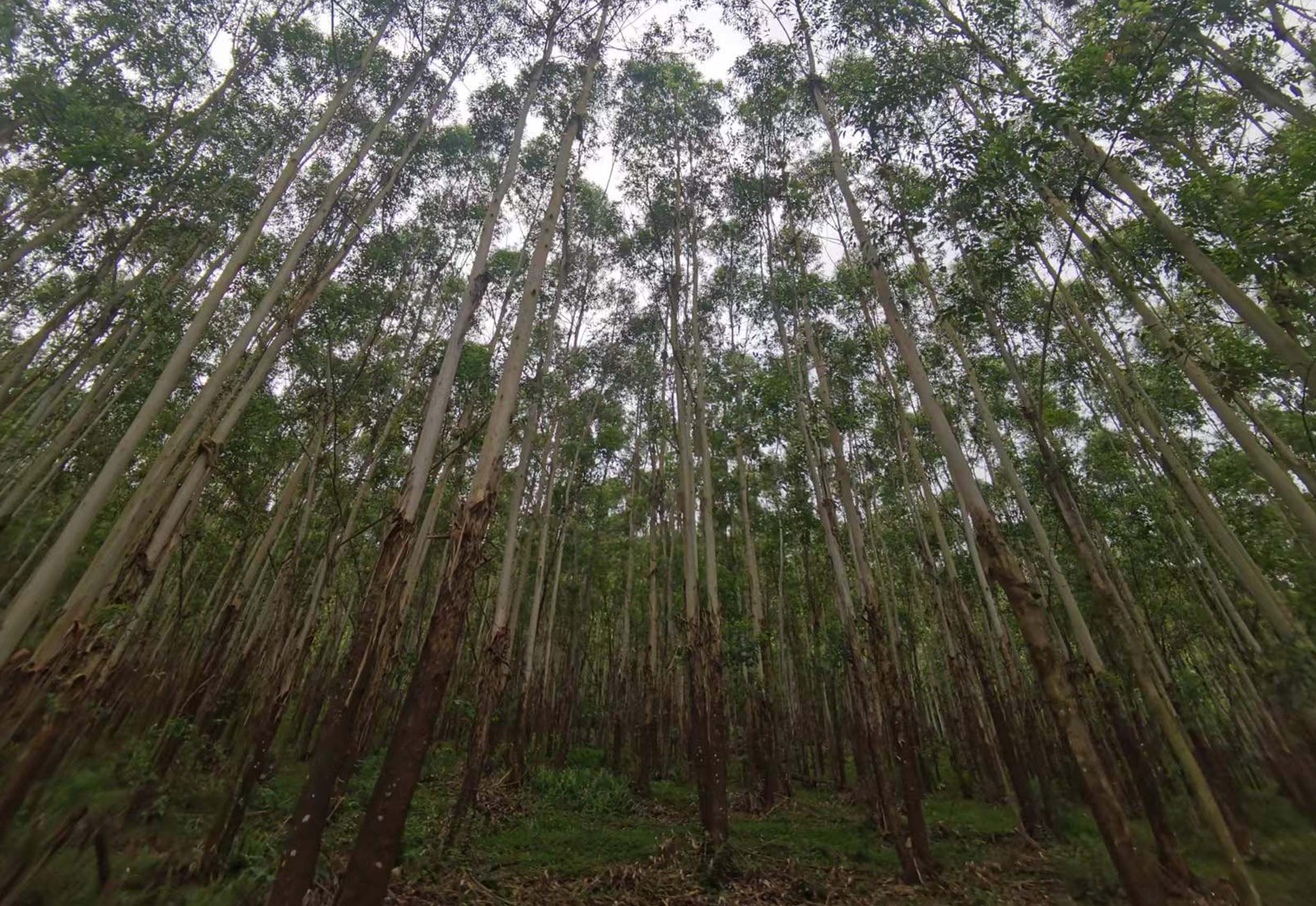 luck18xinli(中国区)-官方网站