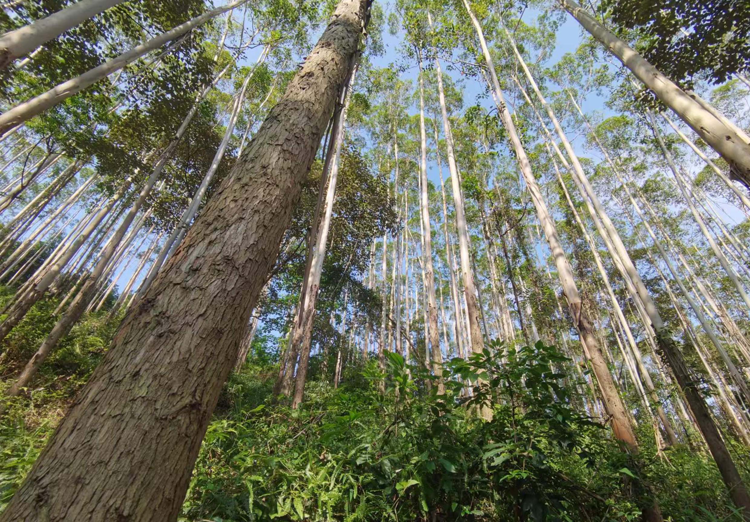 luck18xinli(中国区)-官方网站