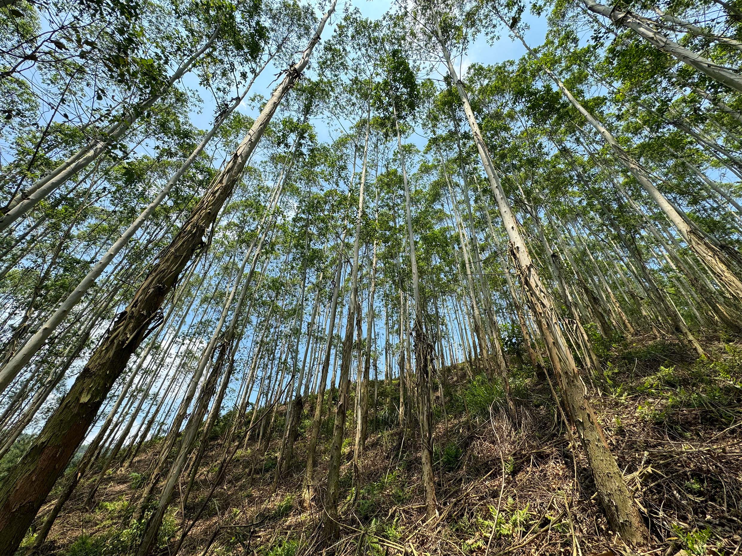 luck18xinli(中国区)-官方网站