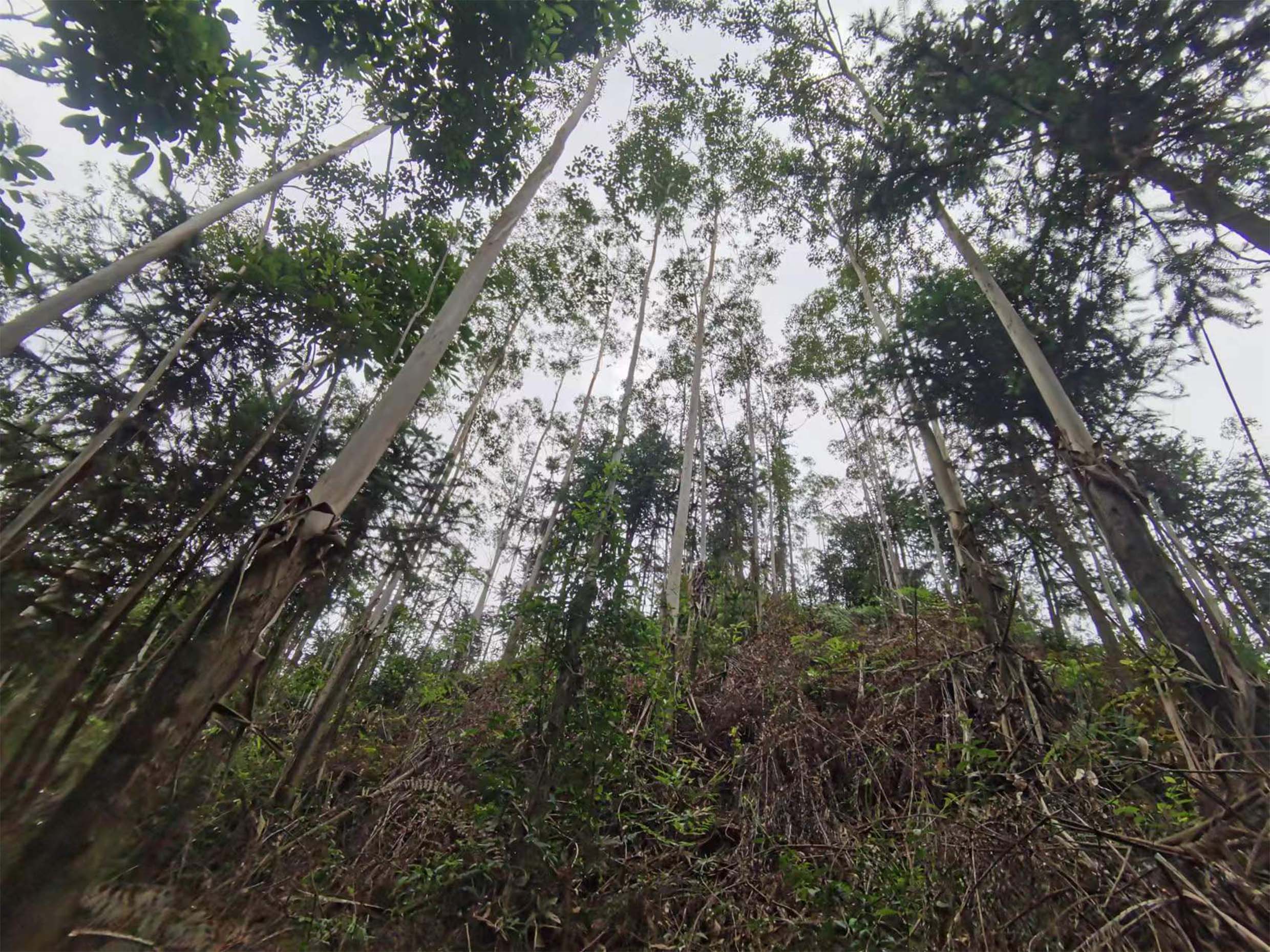 luck18xinli(中国区)-官方网站