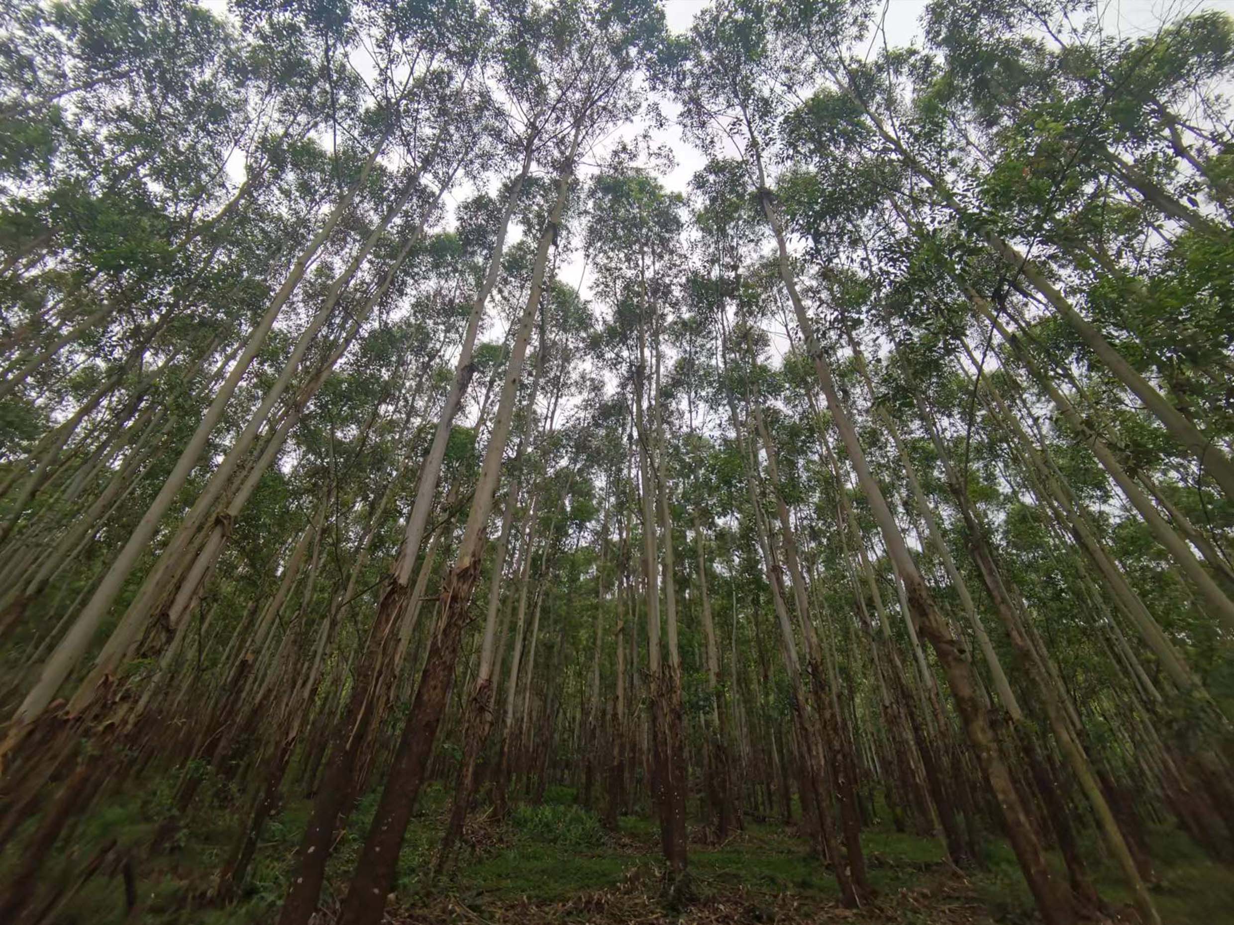 luck18xinli(中国区)-官方网站