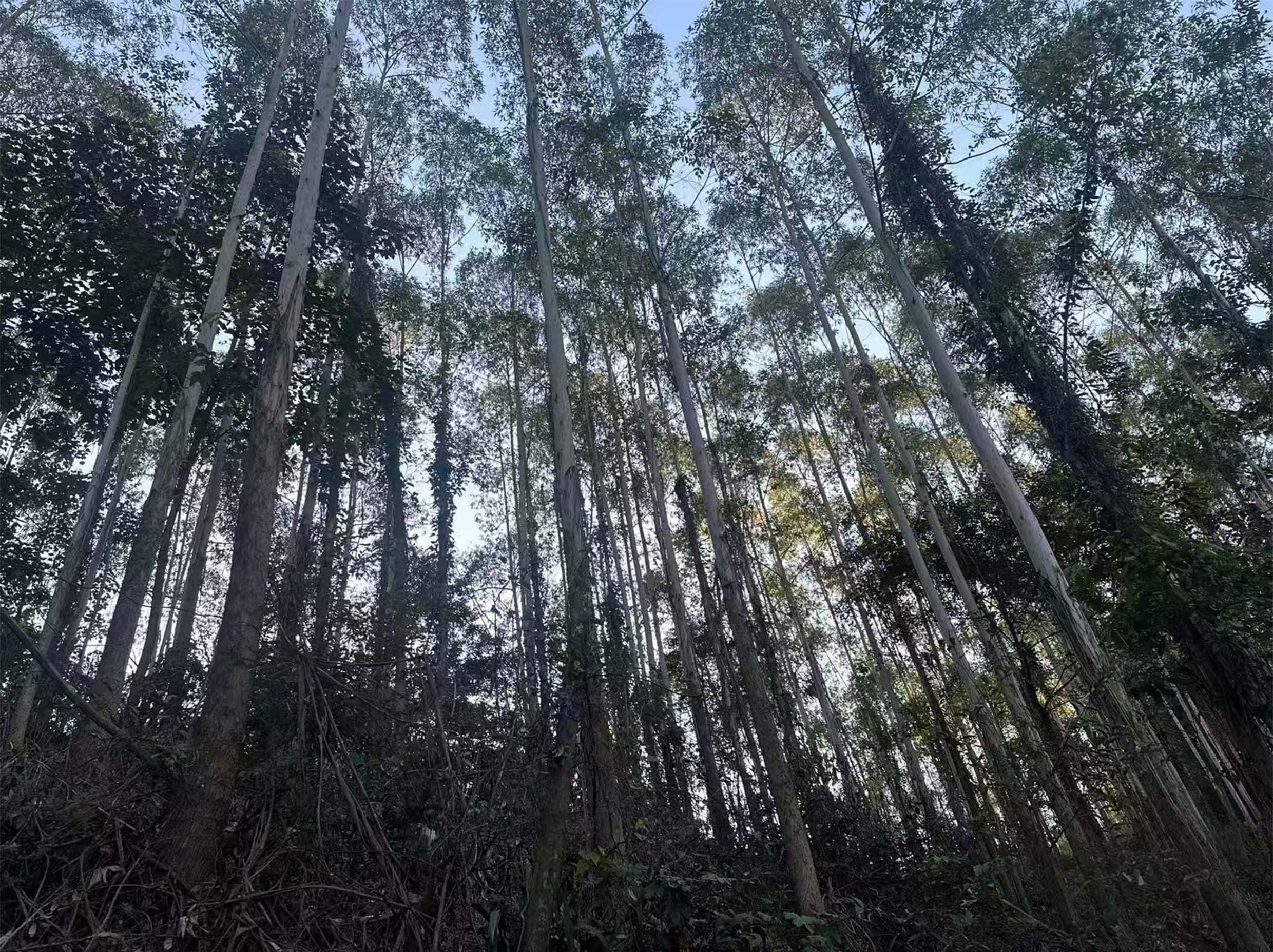 luck18xinli(中国区)-官方网站