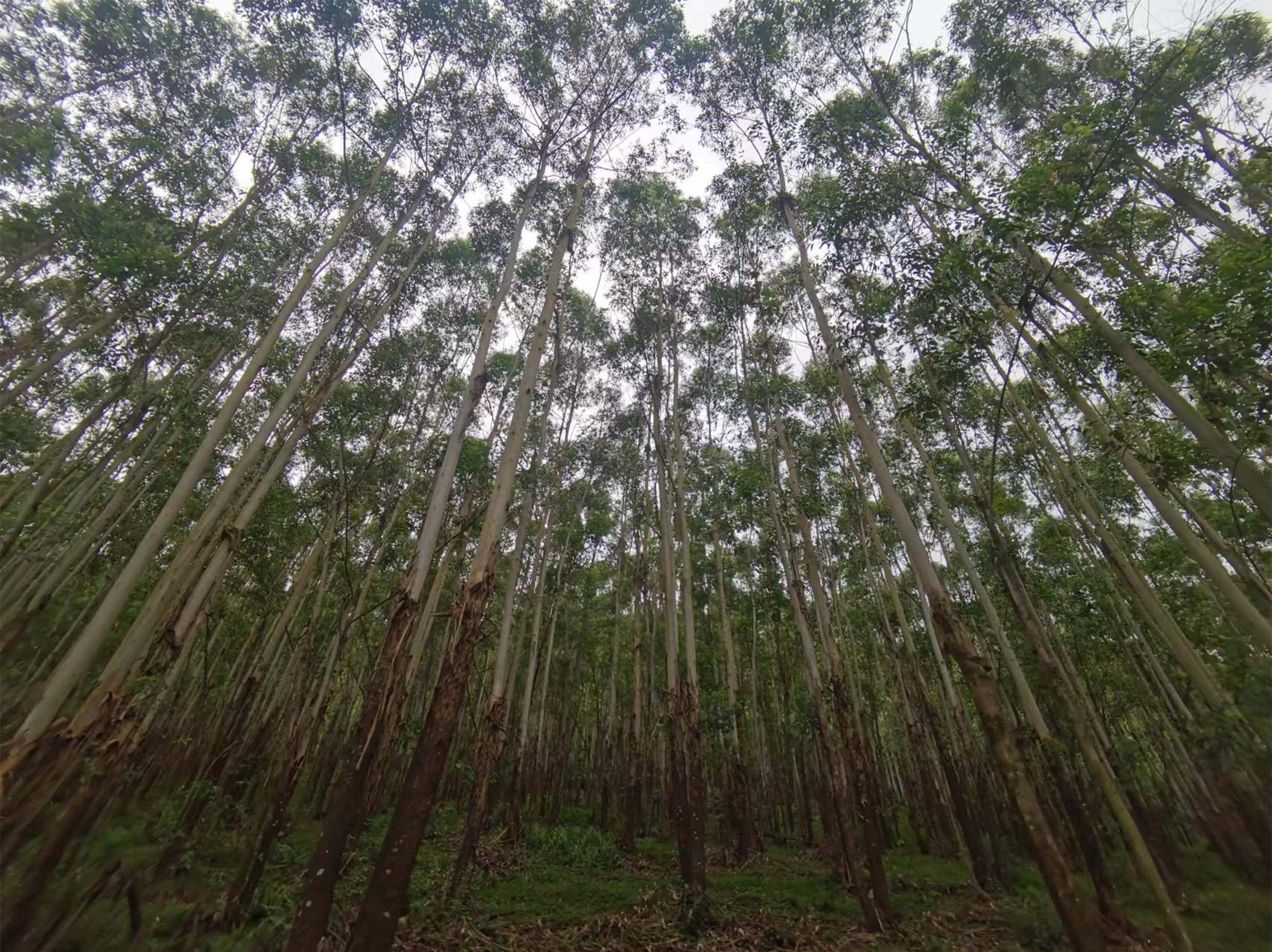 luck18xinli(中国区)-官方网站