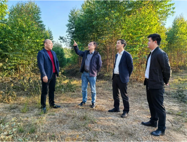 自治区林业局二级巡视员冷光明到广西luck18xinli林业集团铜川分公司领导调研