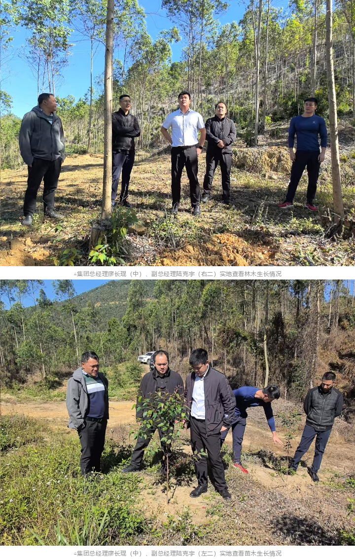 luck18xinli(中国区)-官方网站