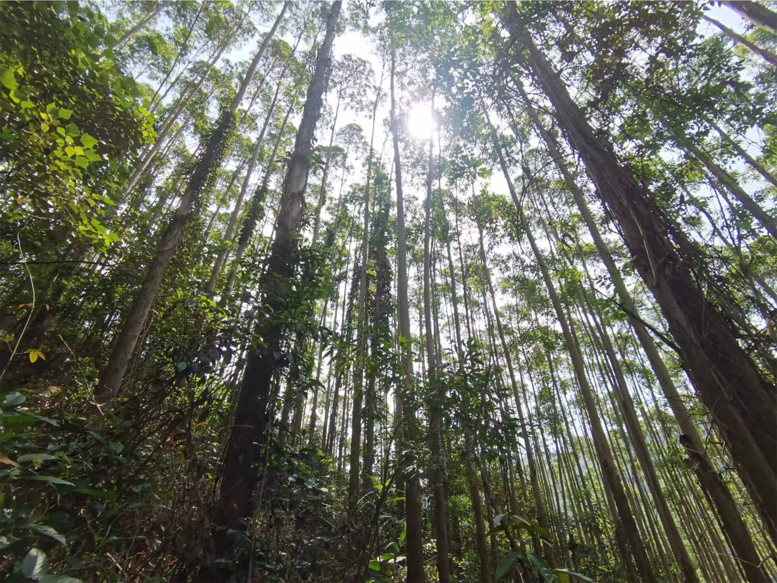 luck18xinli(中国区)-官方网站